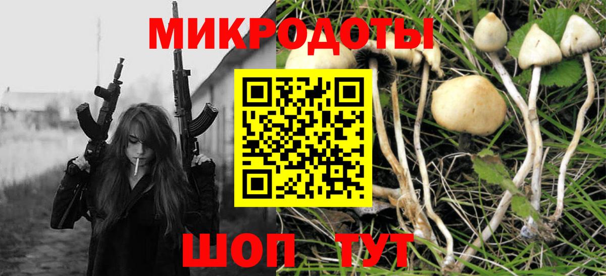 Галлюциногенные грибы Cubensis Урус-Мартан